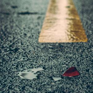 撅屁股+挨揍+虐臀+调教
