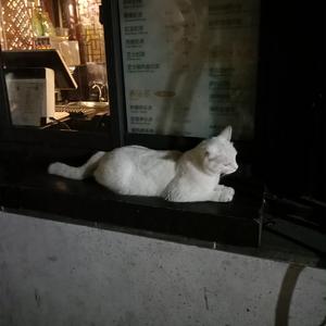 撅屁股+挨揍+虐臀+调教
